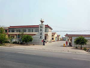 关于云顶集团